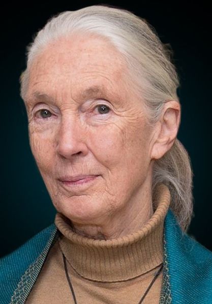 Datei:Jane Goodall.jpg